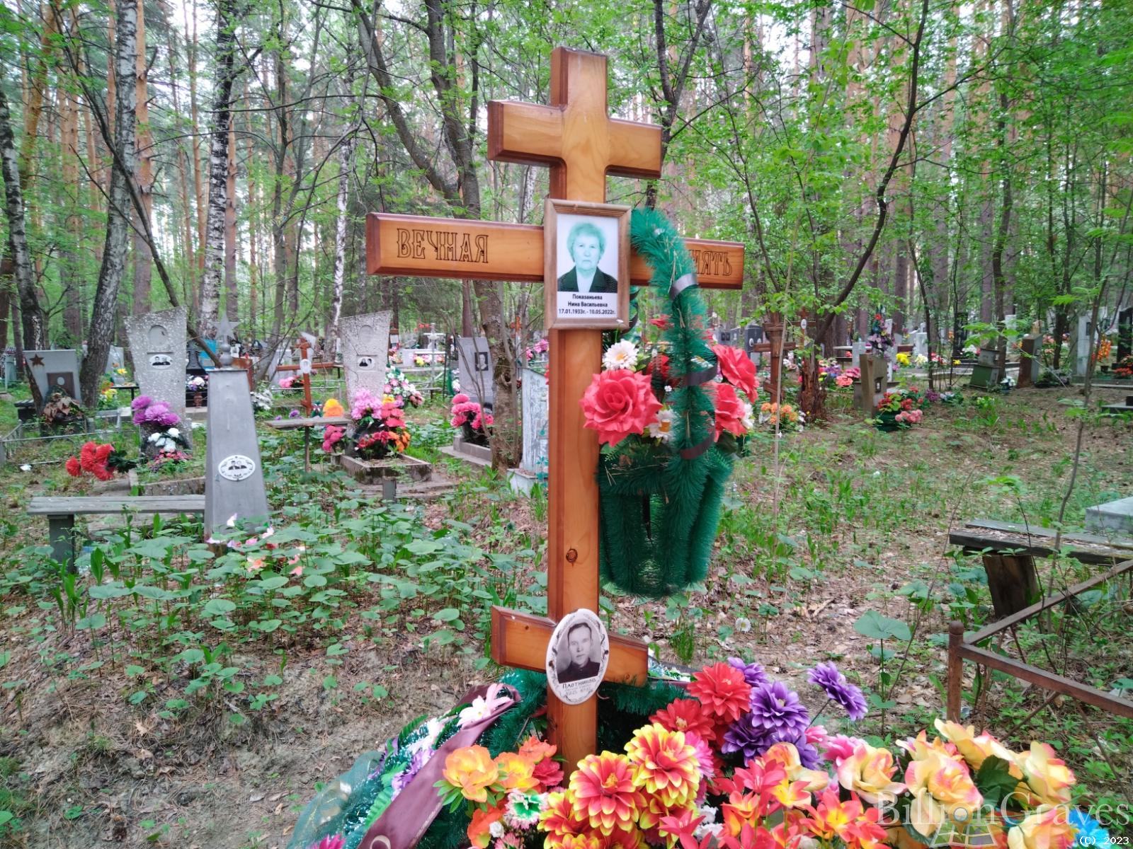 Плотников Василий Егорович