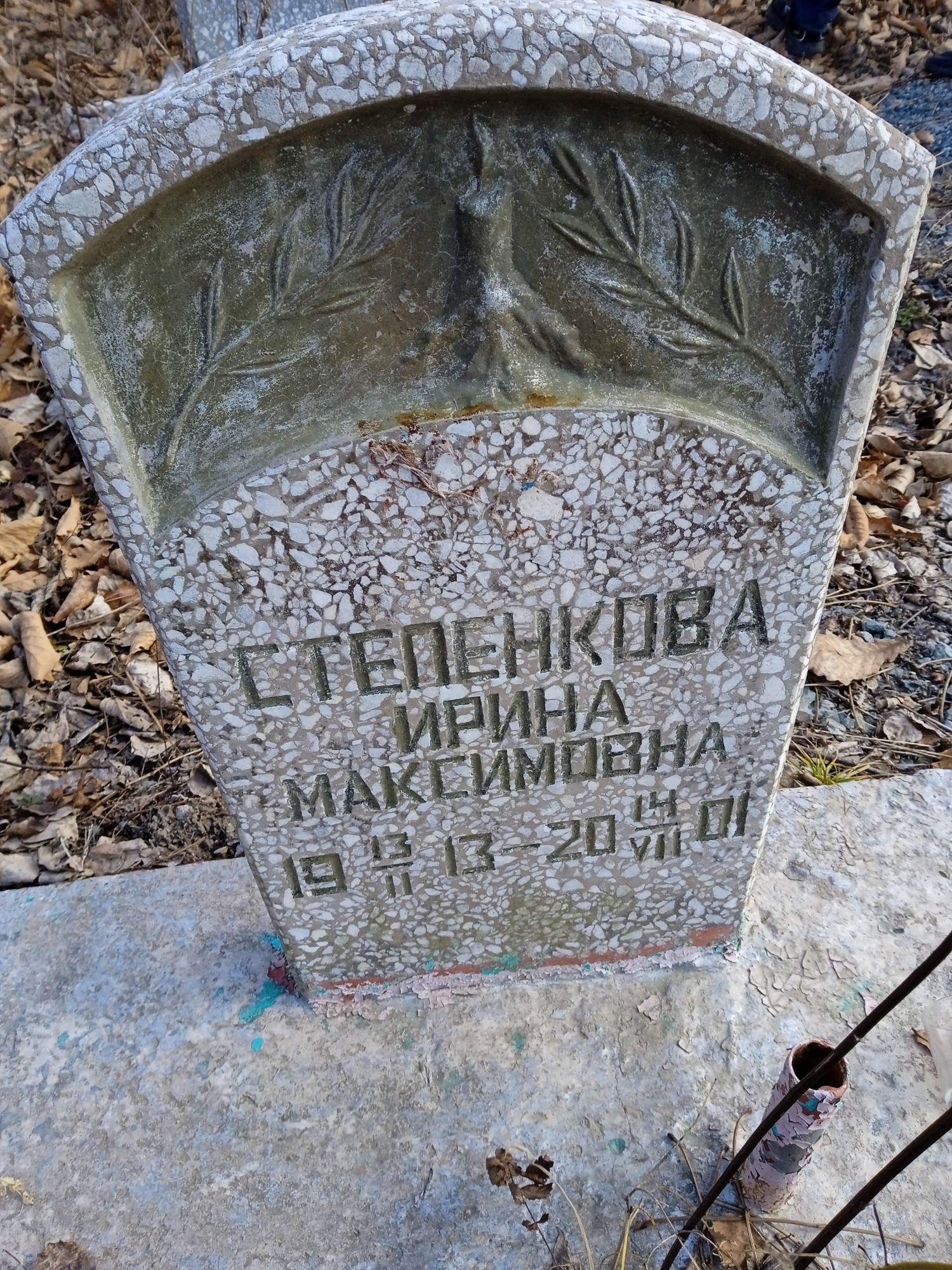Степенкова Ирина Максимовна