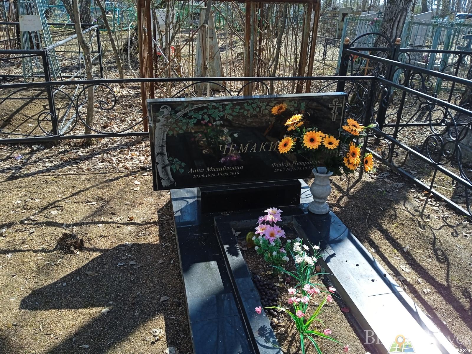Чемакина Анна Михайловна