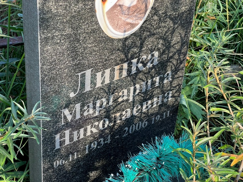 Липка