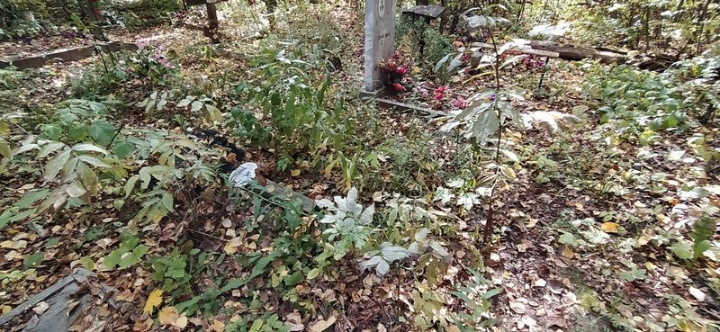 Шашлов Павел Григорьевич