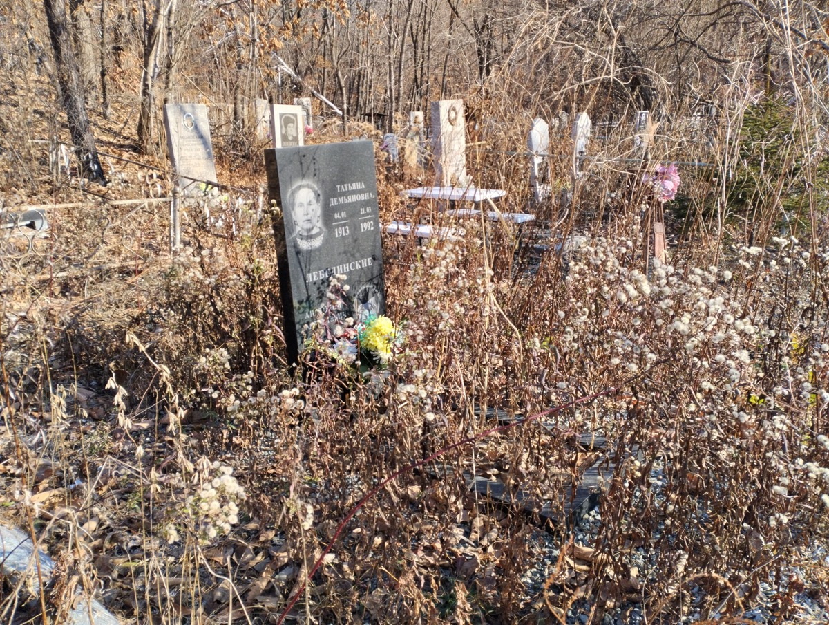 Лебединский Анатолий Дмитриевич