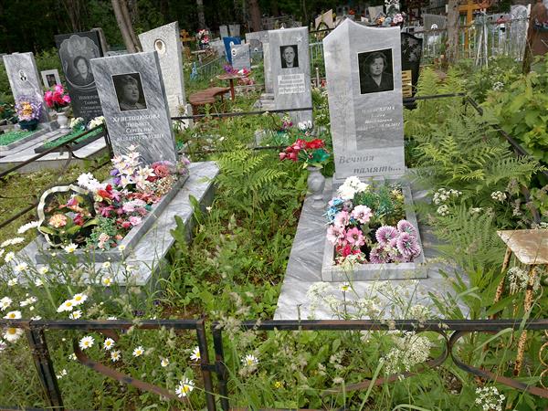 Матяскина Елена Николаевна