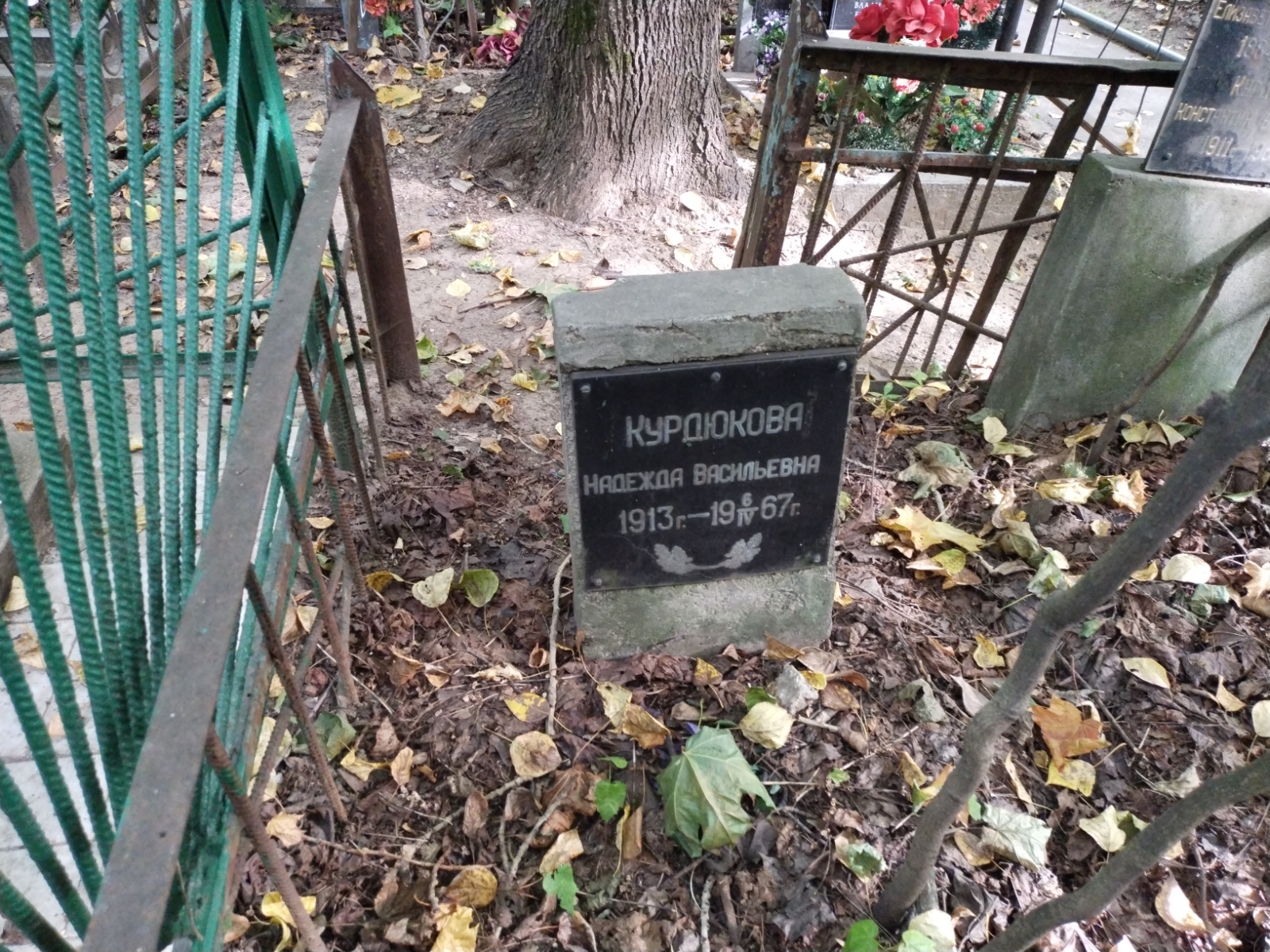 Курдюкова Надежда Васильевна