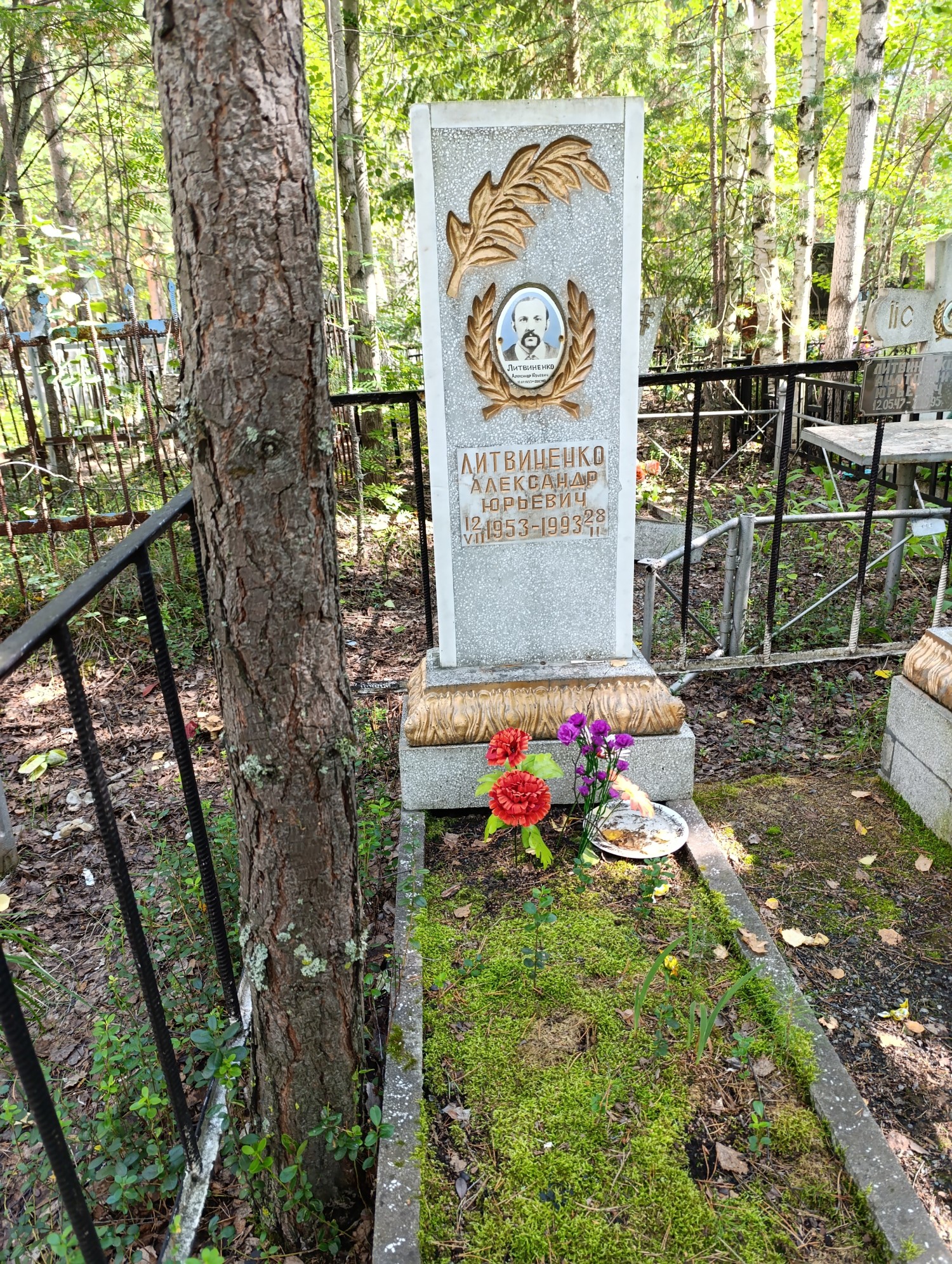 Литвиненко Александр Юрьевич