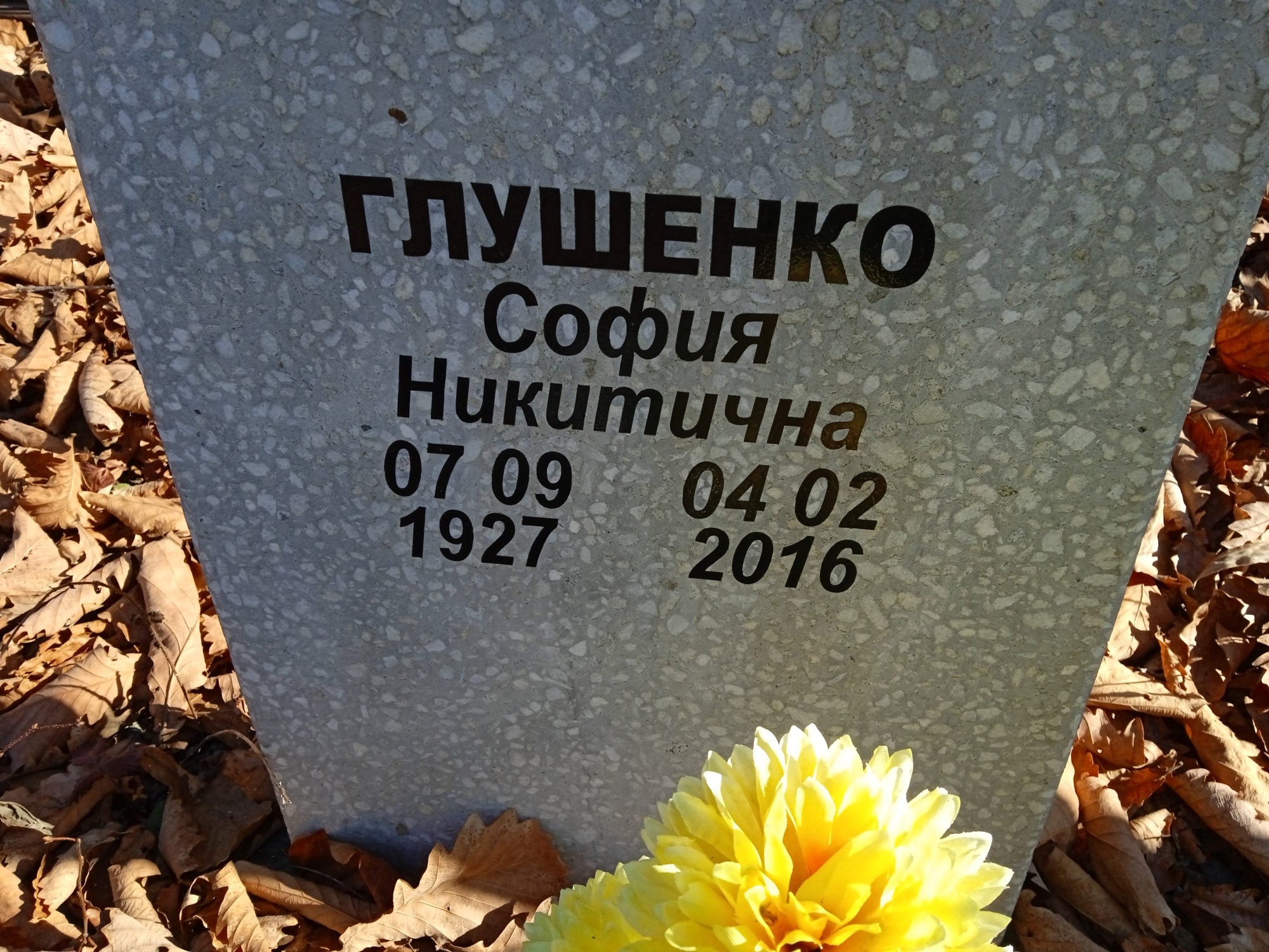 Глушенко София Никитична