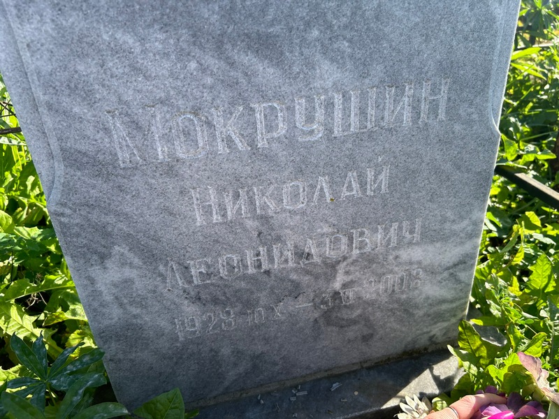 Мокрушин