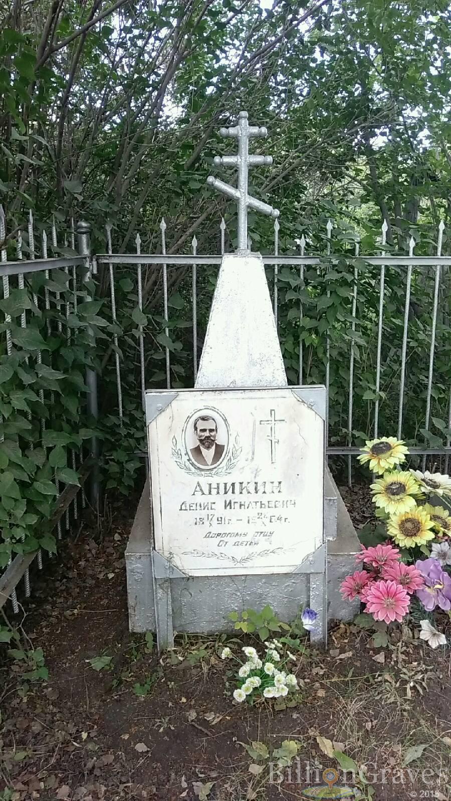 Аникин Денис Игнатьевич
