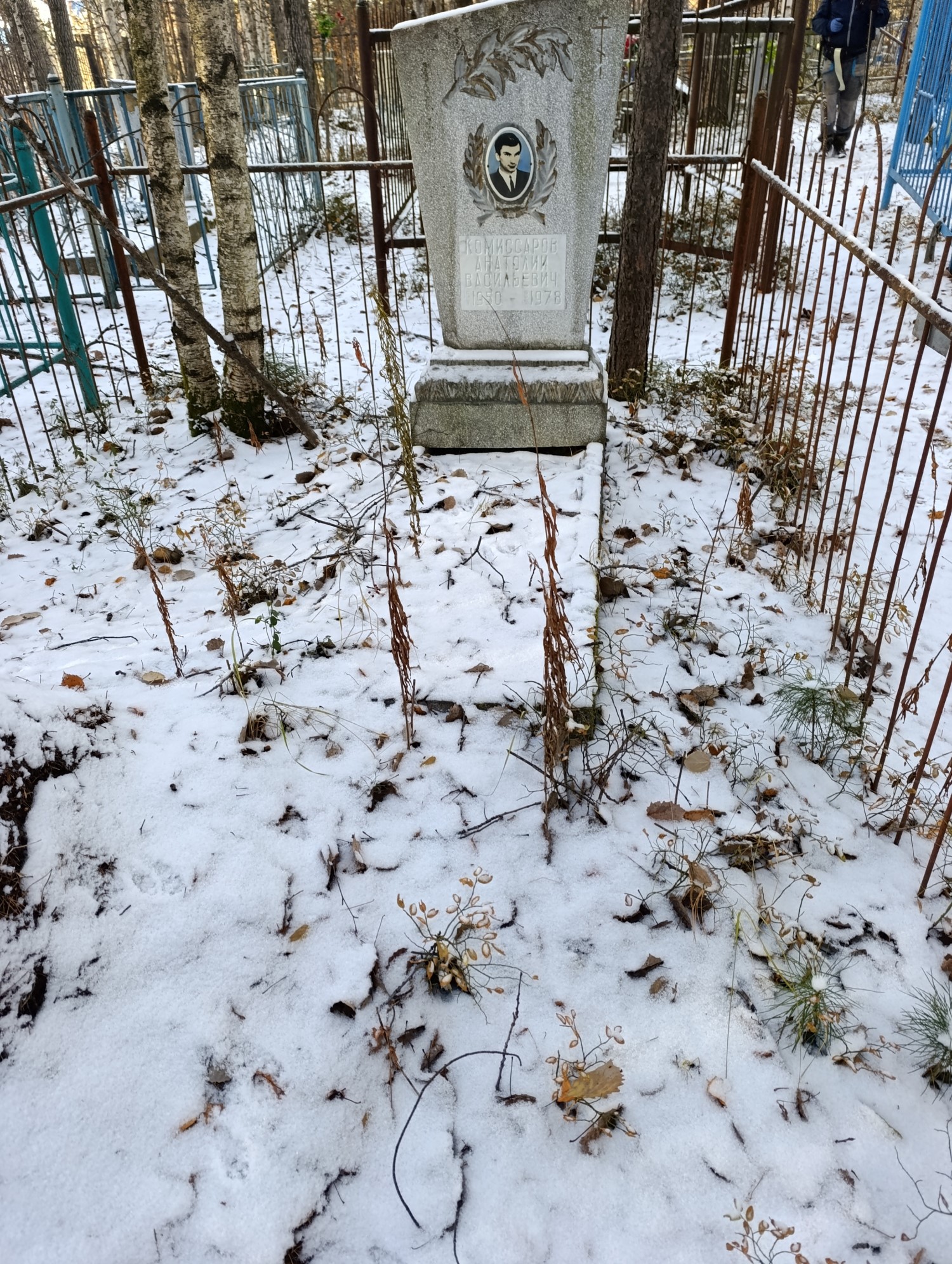 Комиссаров Анатолий Васильевич