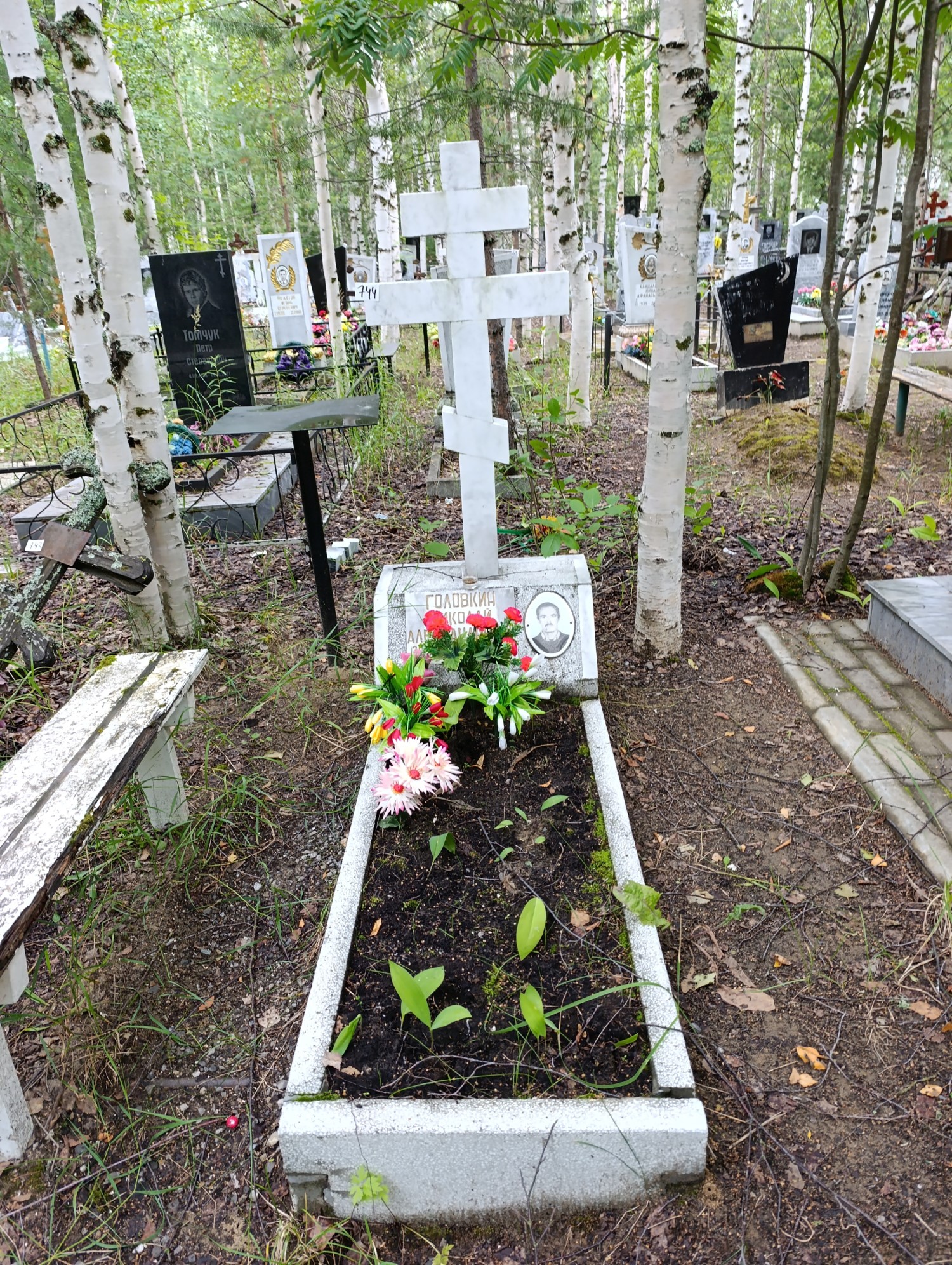 Головкин Николай Александрович