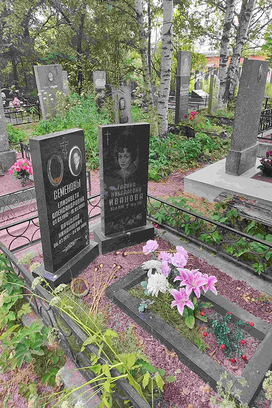 Семенов Вячеслав Николаевич