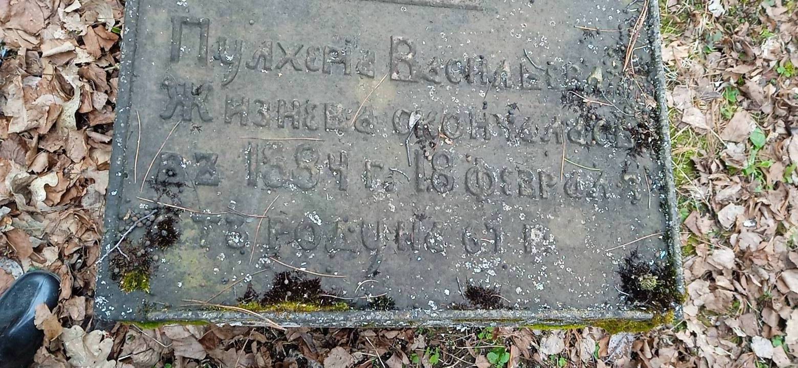 Жизнева Пулхерия Васильевна