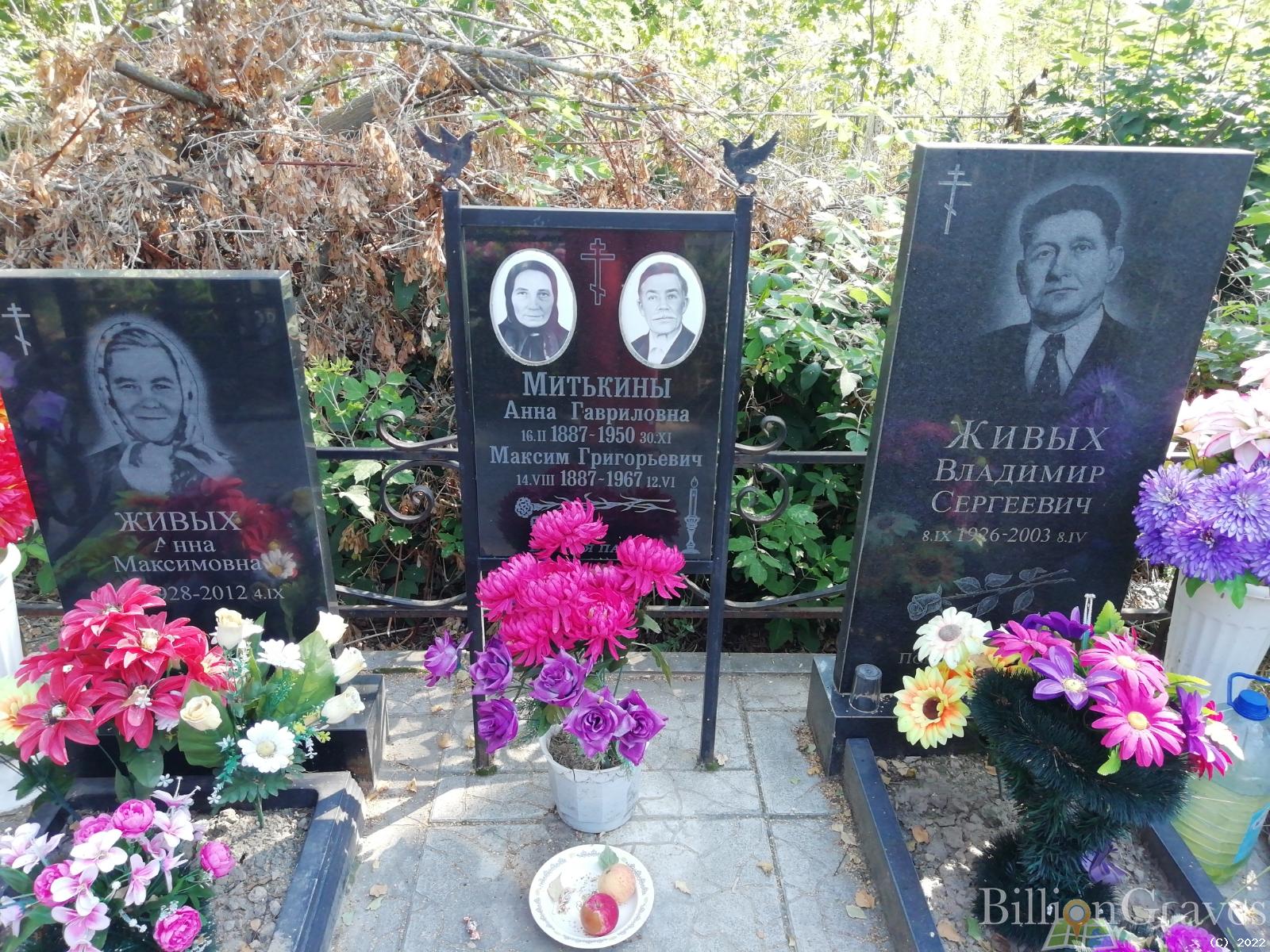Живых Владимир Сергеевич
