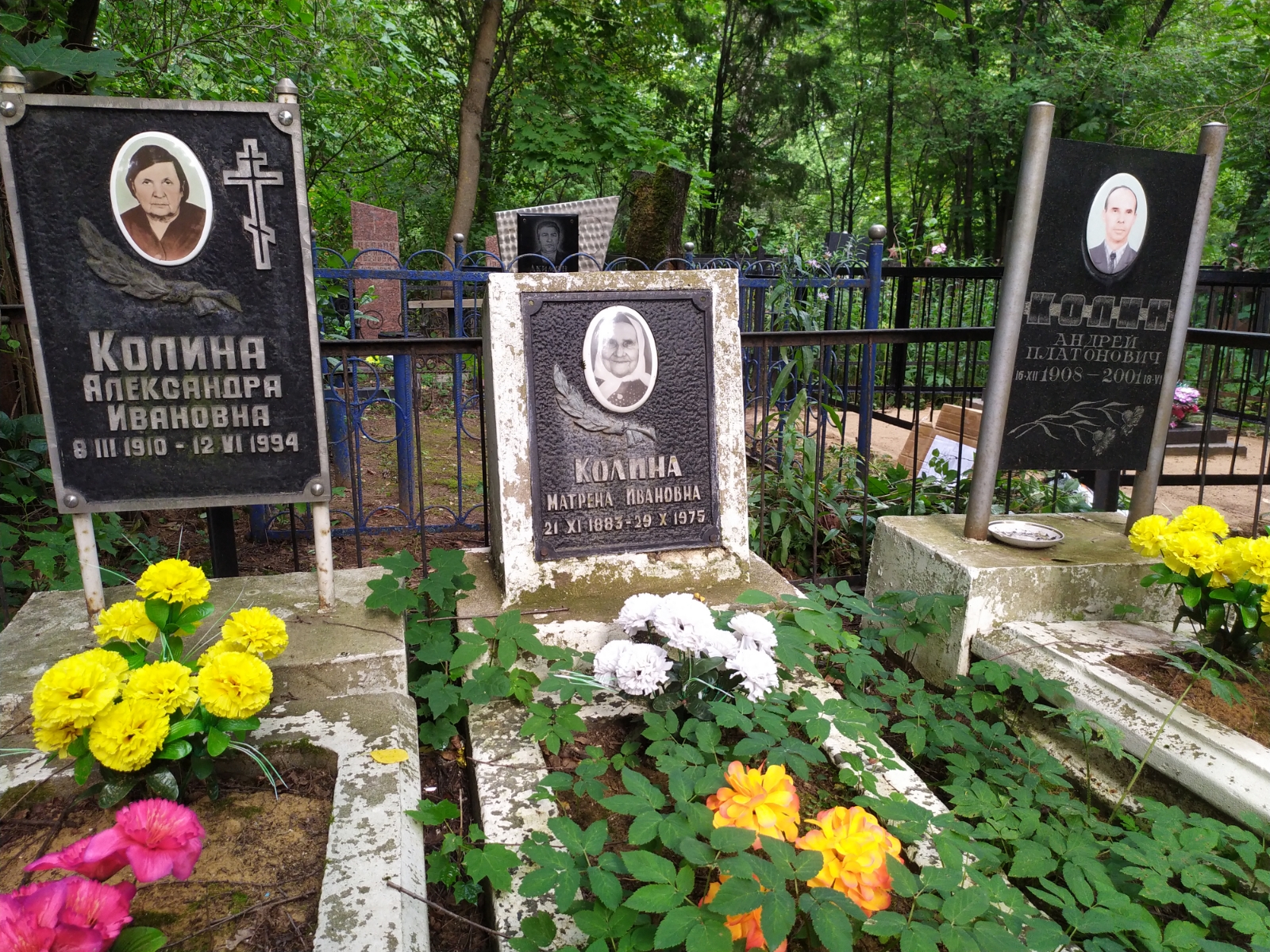 Колина Александра Ивановна