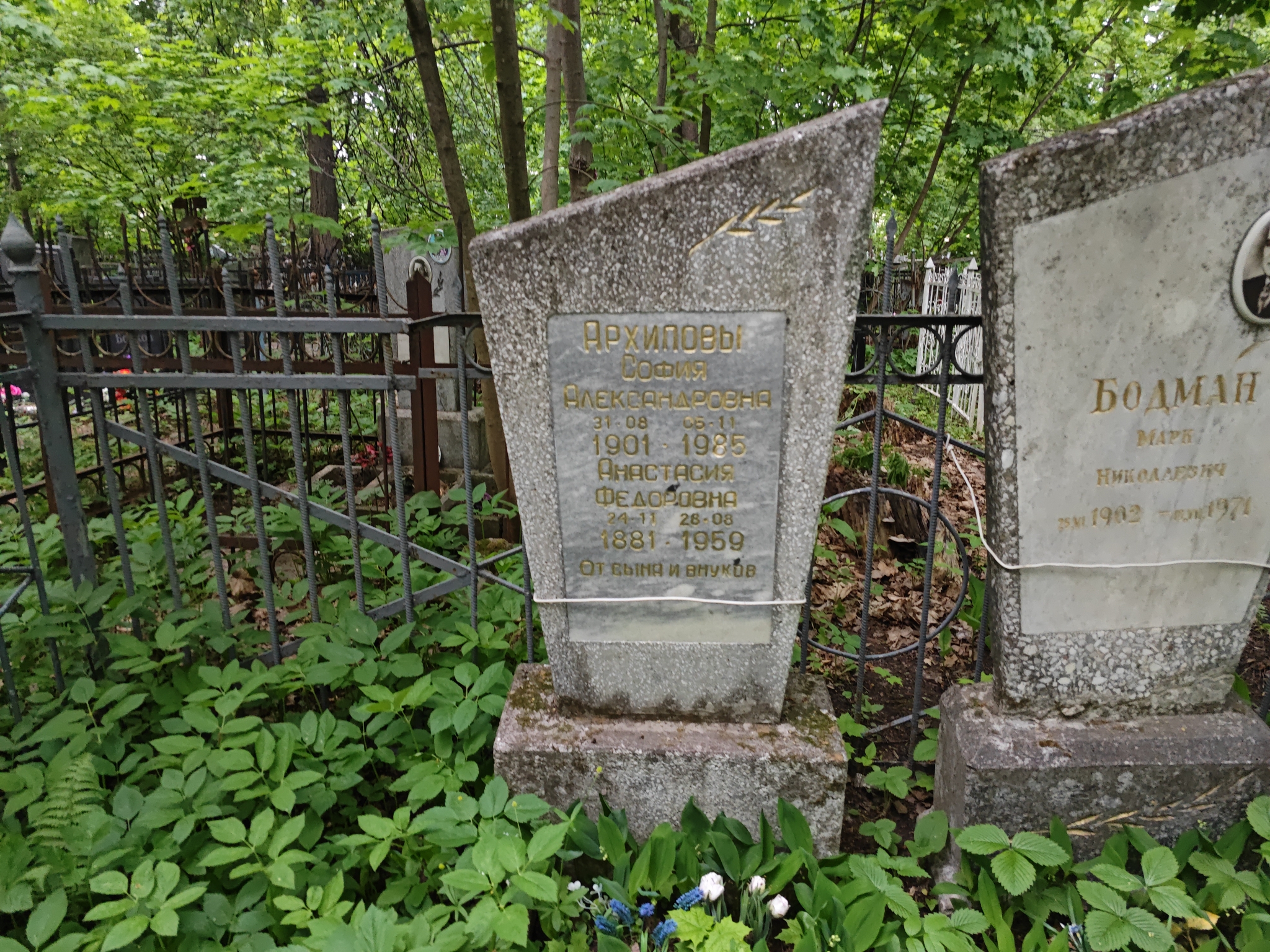 Архипова София Александровна