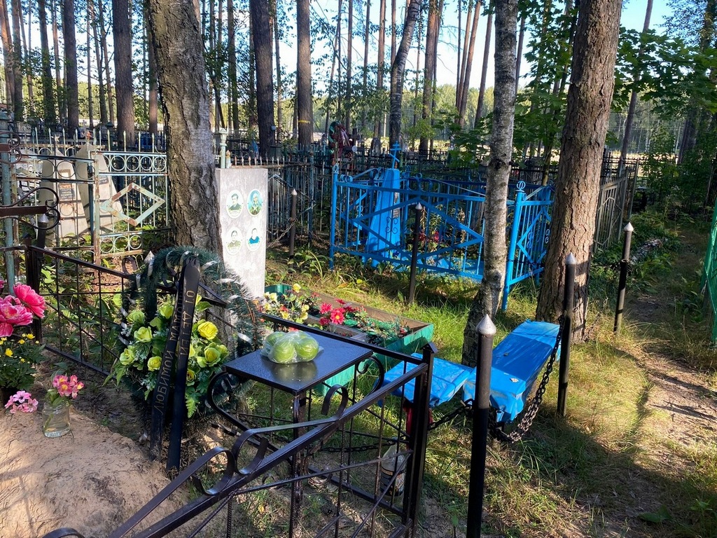 Шекурова Надежда Яковлевна