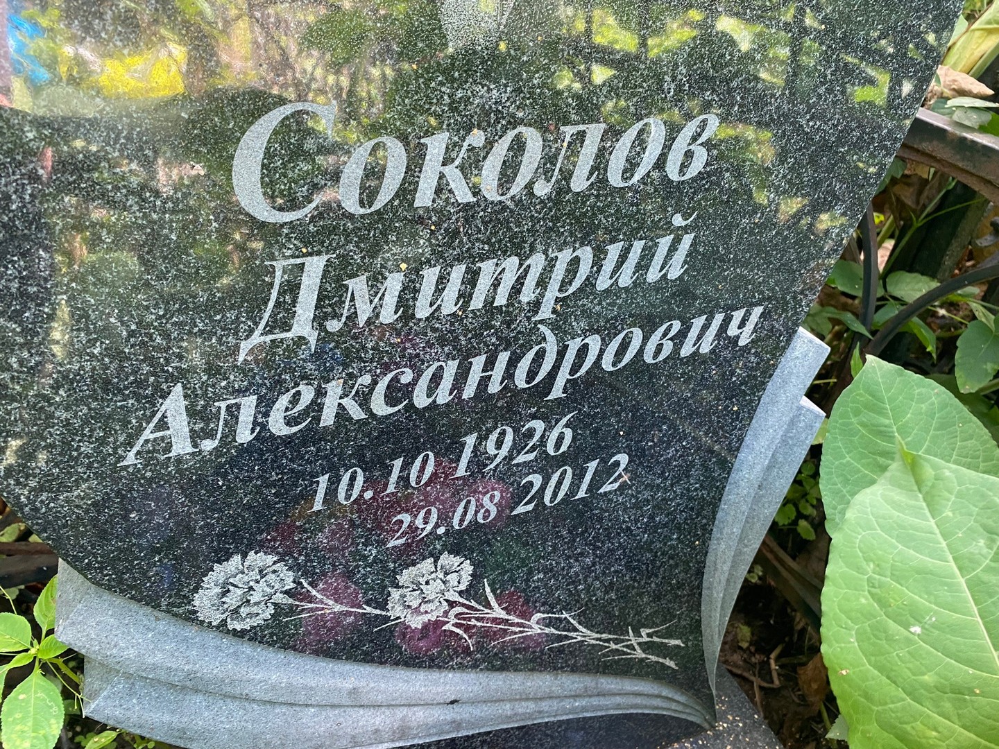 Соколов