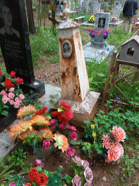 Гладков А. Е.