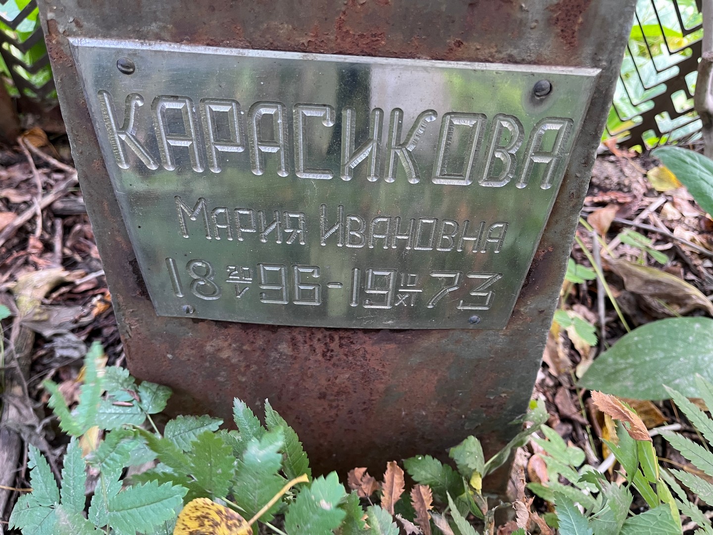 Карасикова