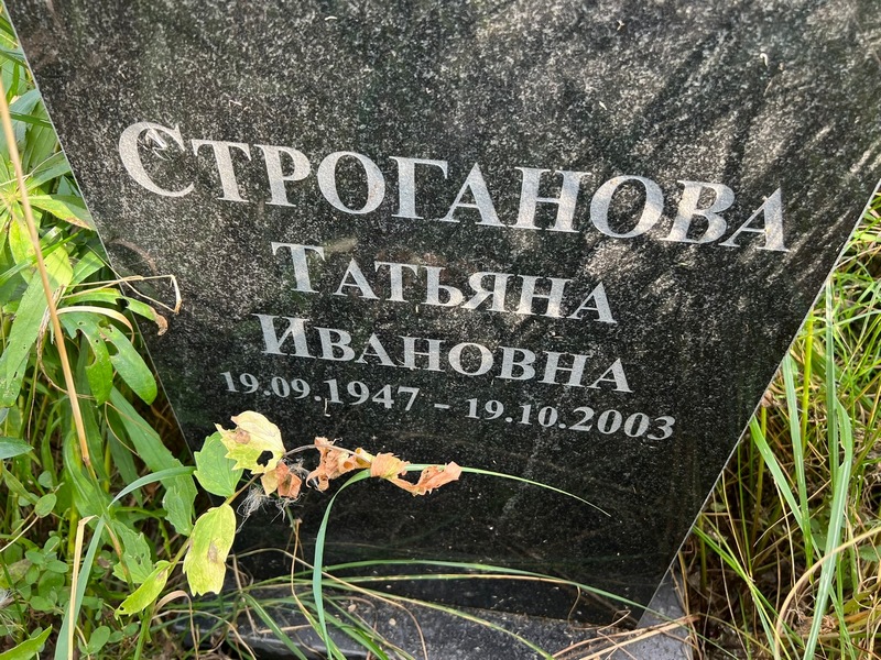 Строганова