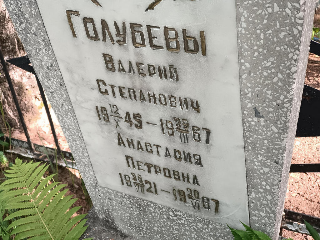 Голубева Анастасия Петровна