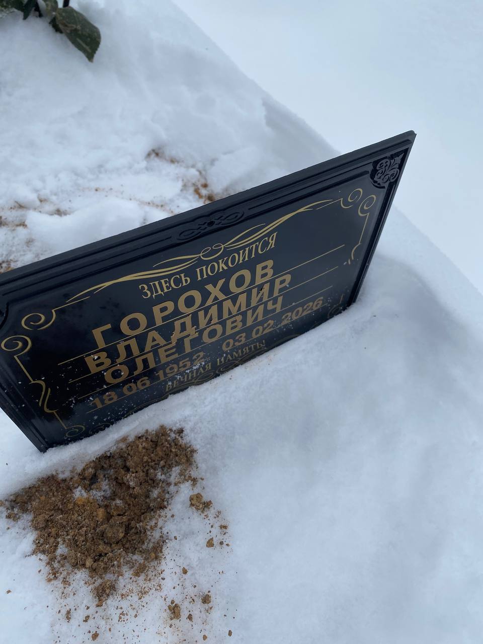 Горохов