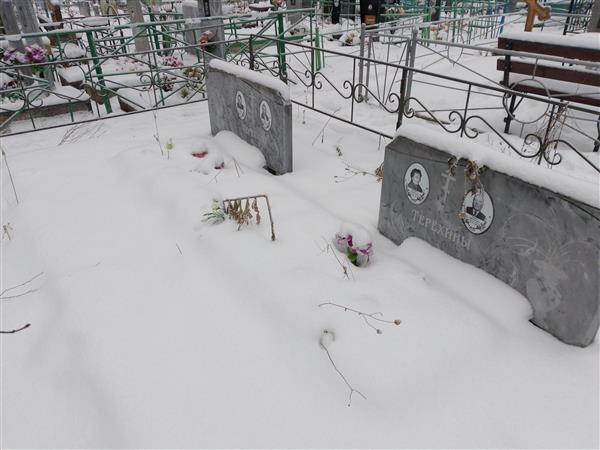 Терехин Андрей Прокопьевич