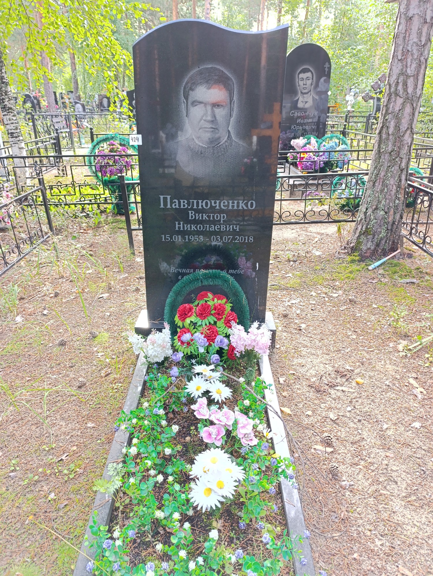 Павлюченко Виктор Николаевич