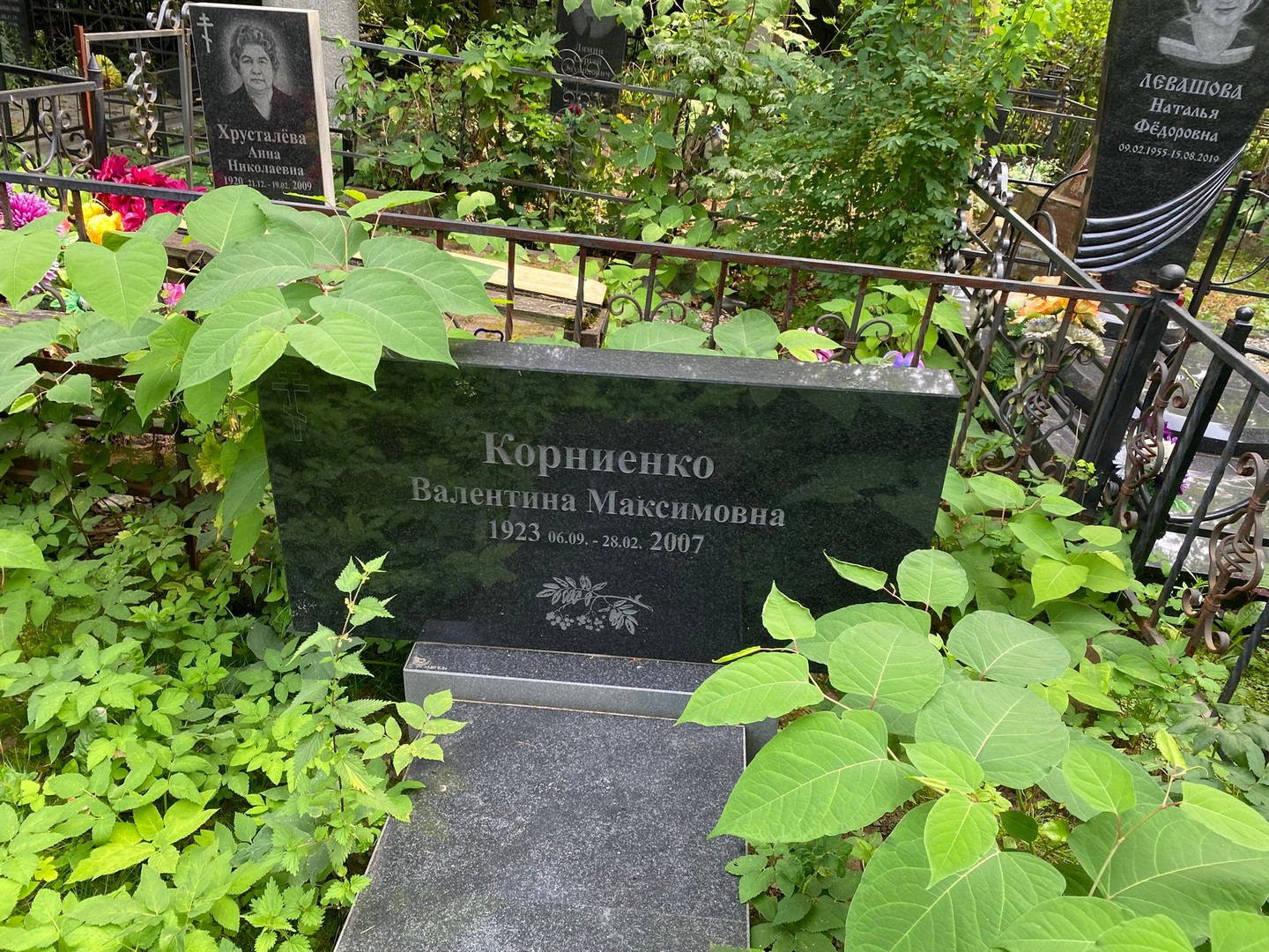 Корниенко