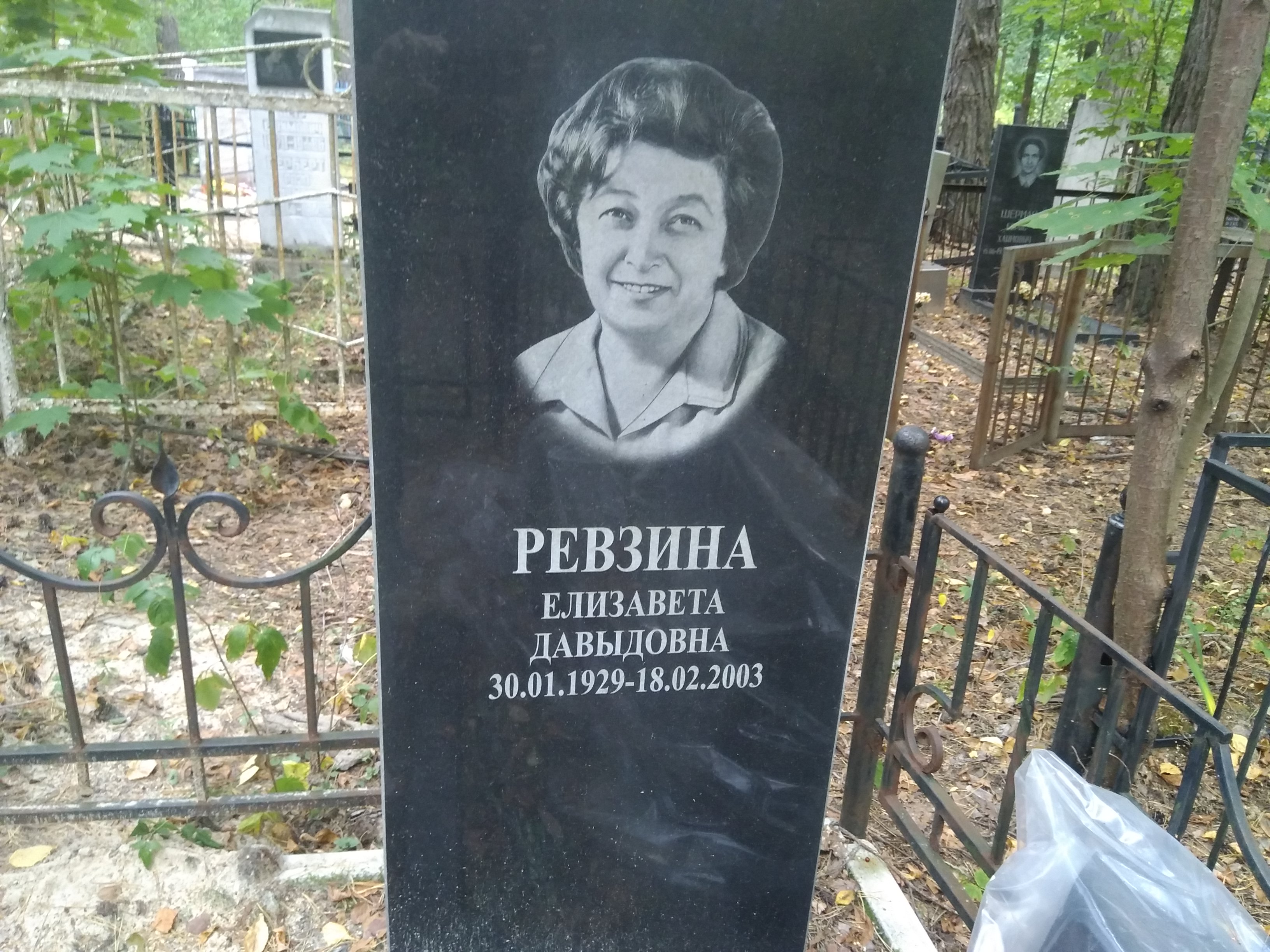 Ревзина Елизавета Давыдовна