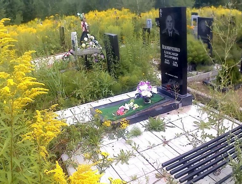 Вдовиченко Александр Захарович