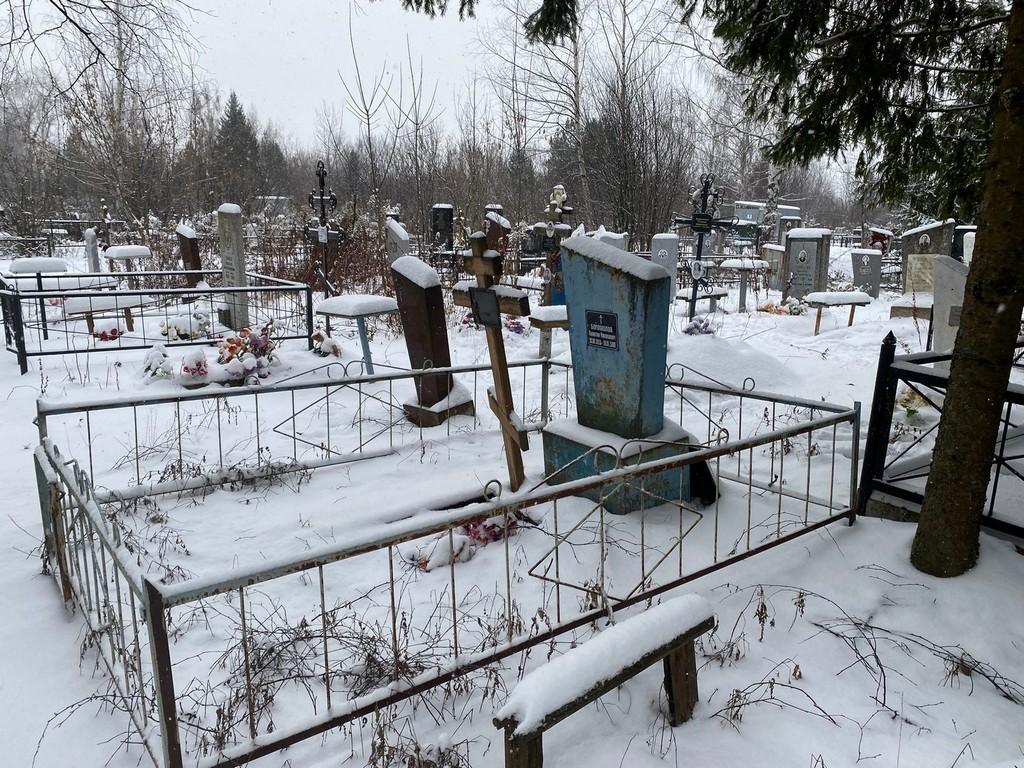 Богомолов Валентин Николаевич