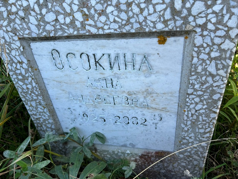 Осокина
