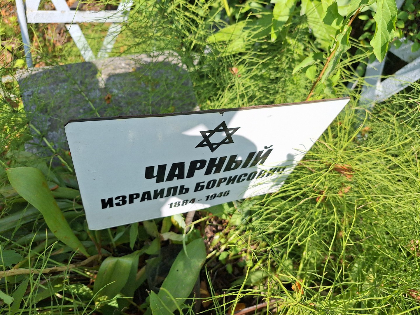 Израиль Чарный Борисович