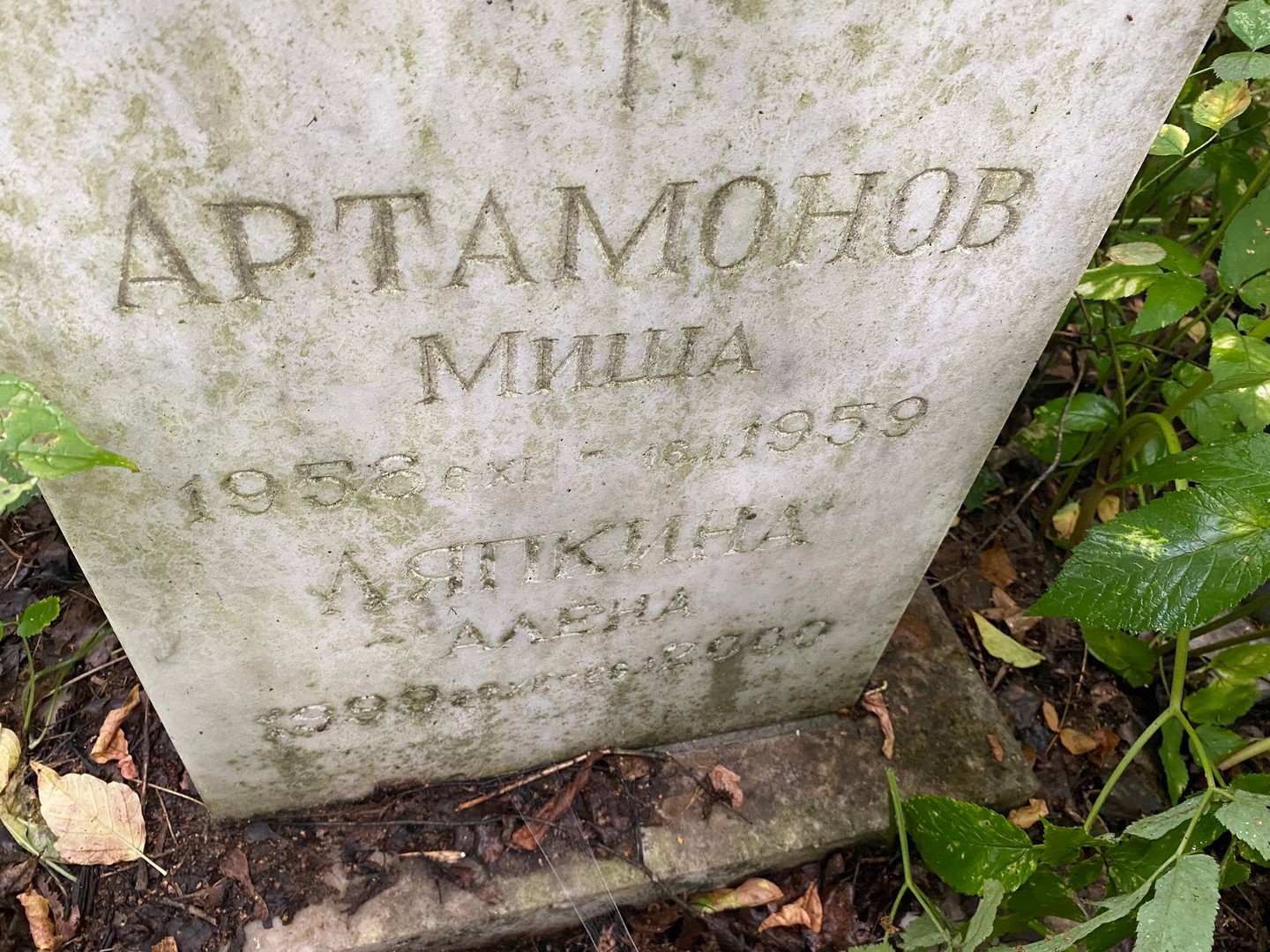 Артамонов Артамонов