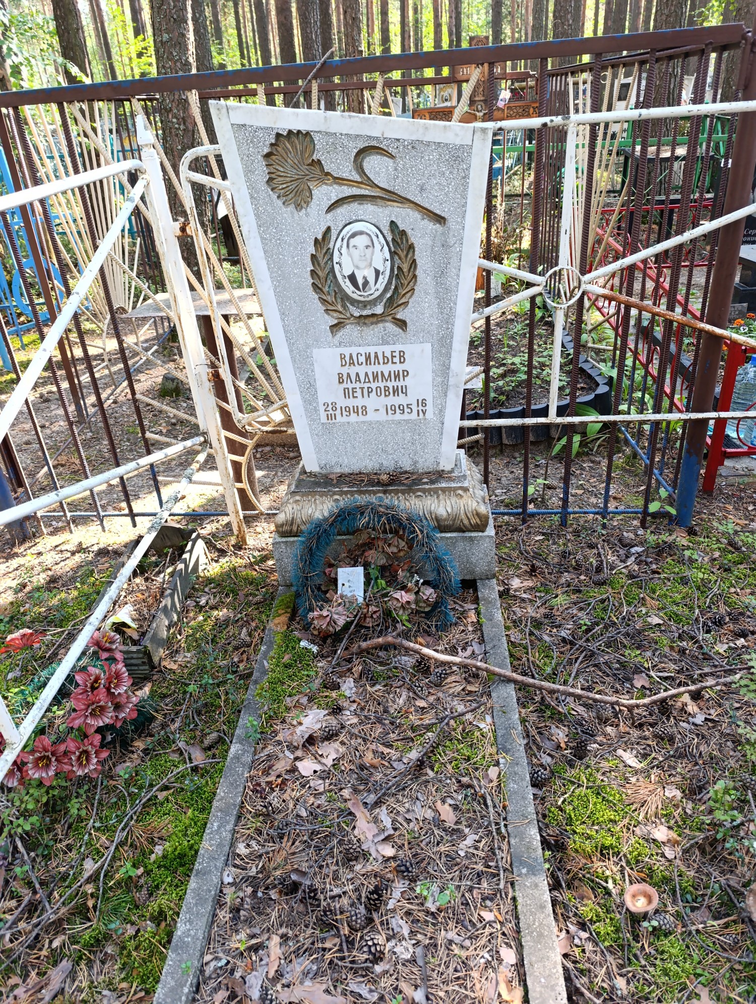 Васильевич Владимир Петрович