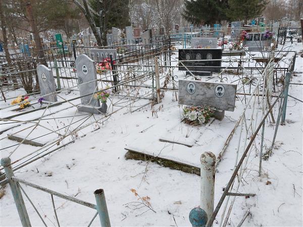Желвакова Светлана Александровна