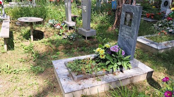 Волков Борис Петрович