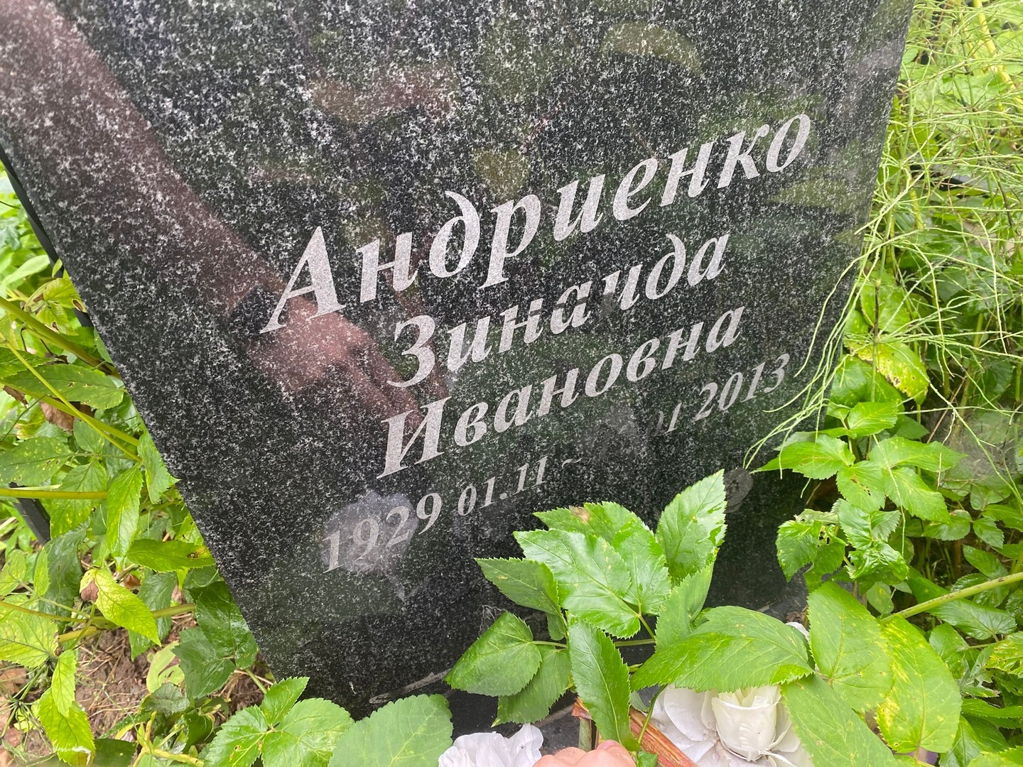 Андриенко