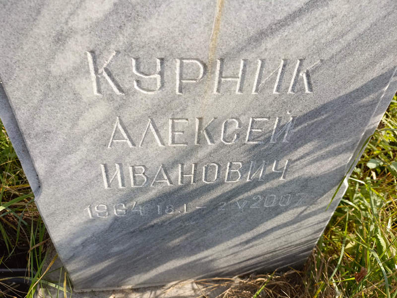 Курник
