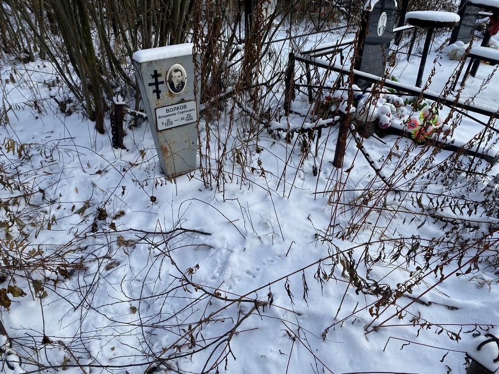 Волков Владимир Сергеевич