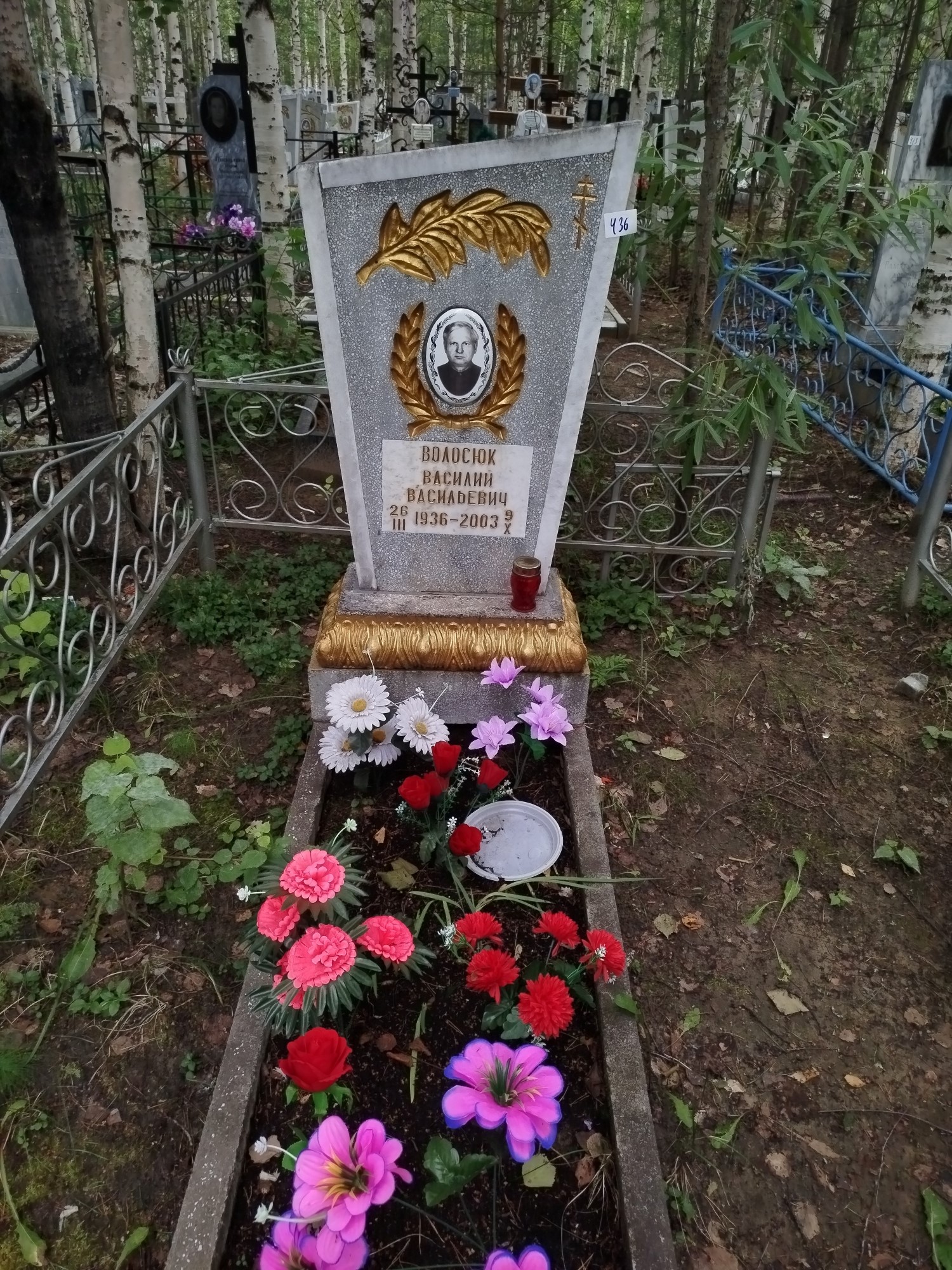 Волосюк Василий Васильевич