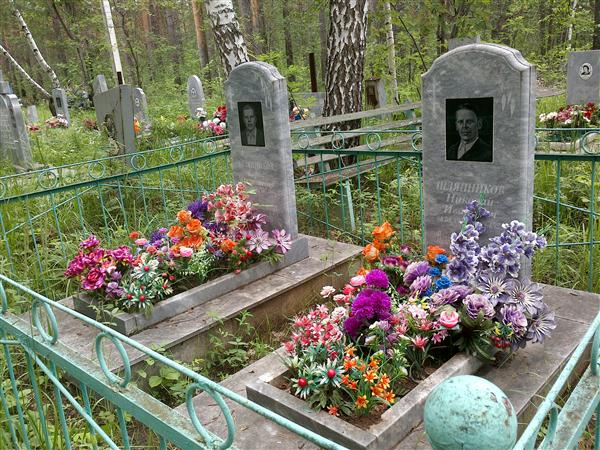 Шляпников Николай Иванович