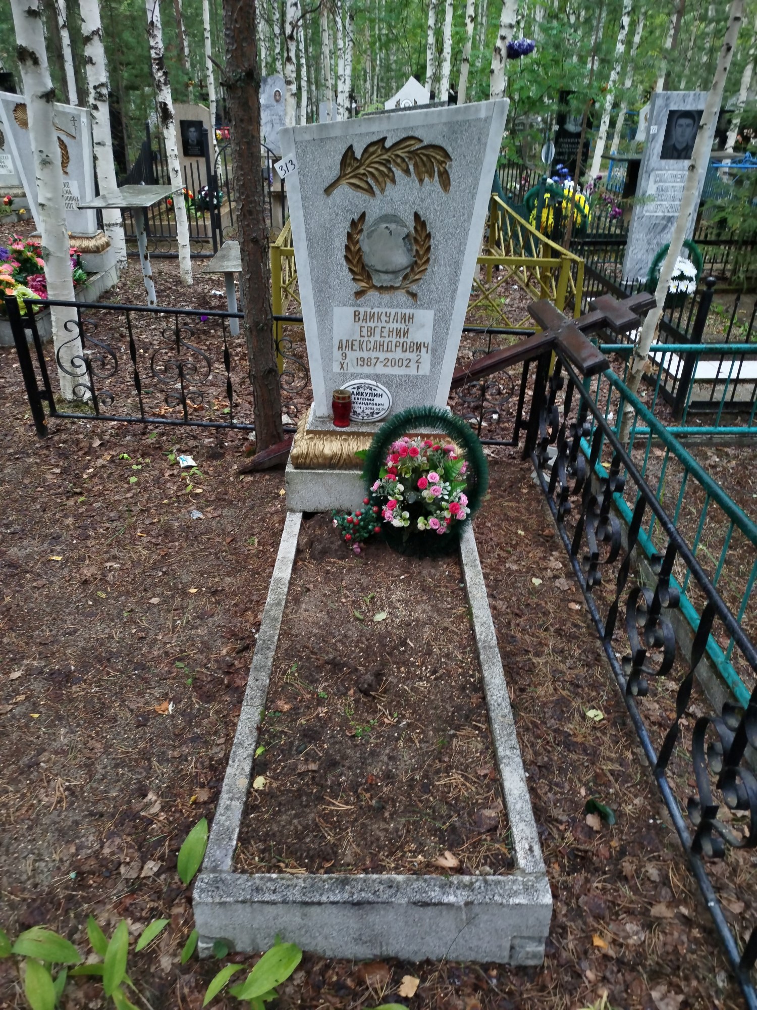 Вайкулин Евгений Александрович