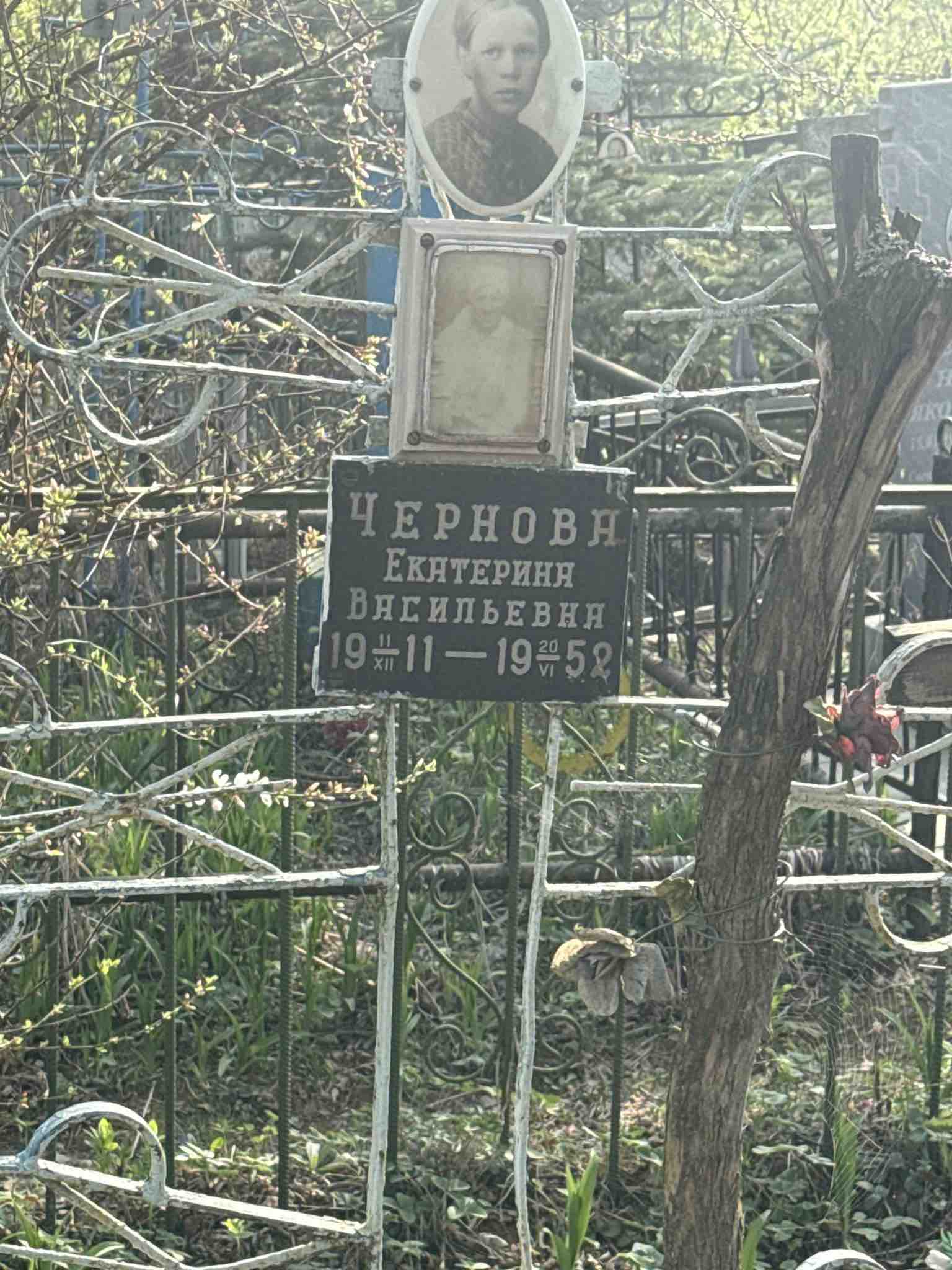 Чернова Екатерина Васильевна