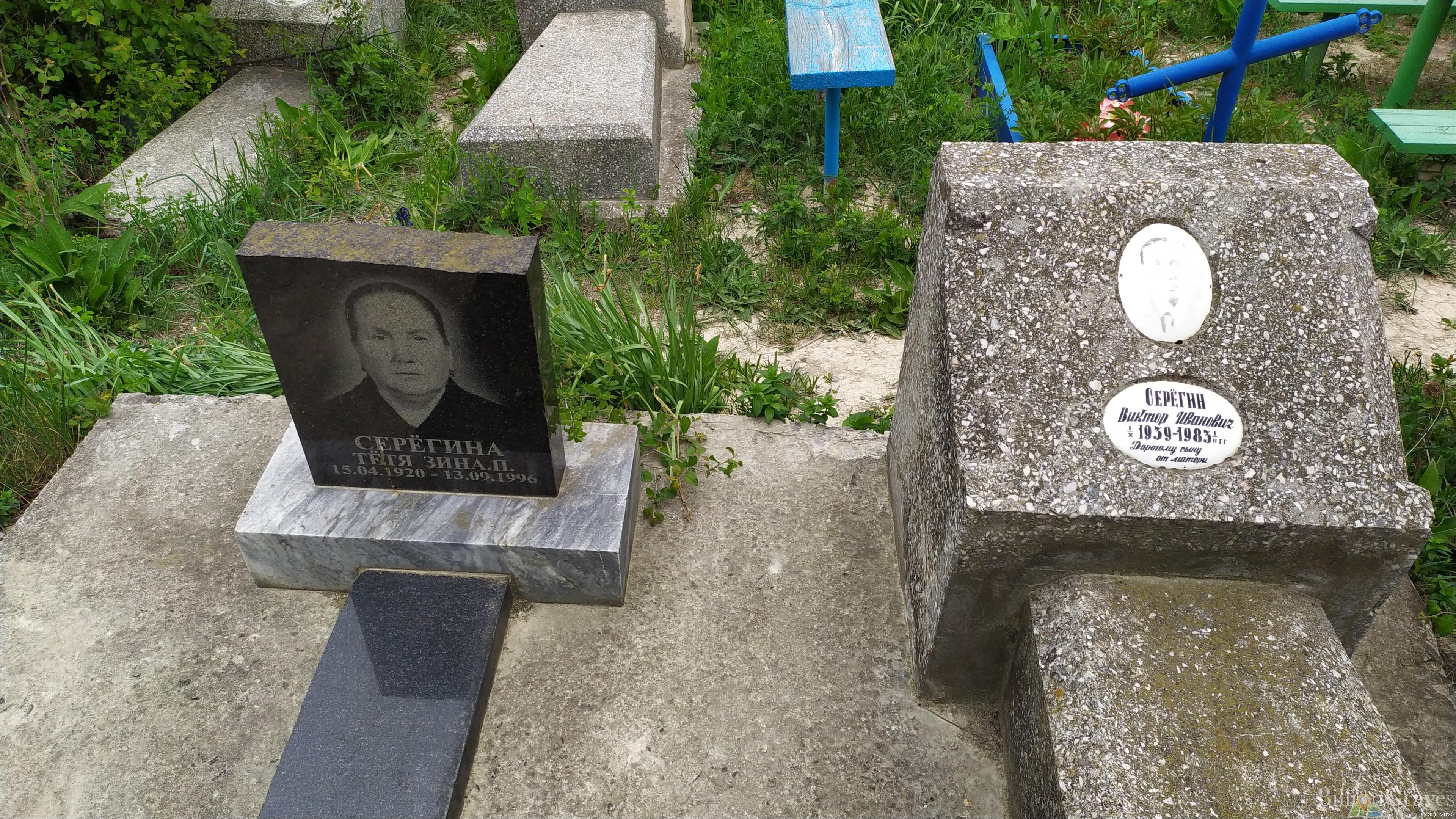 Серегина Зина П.