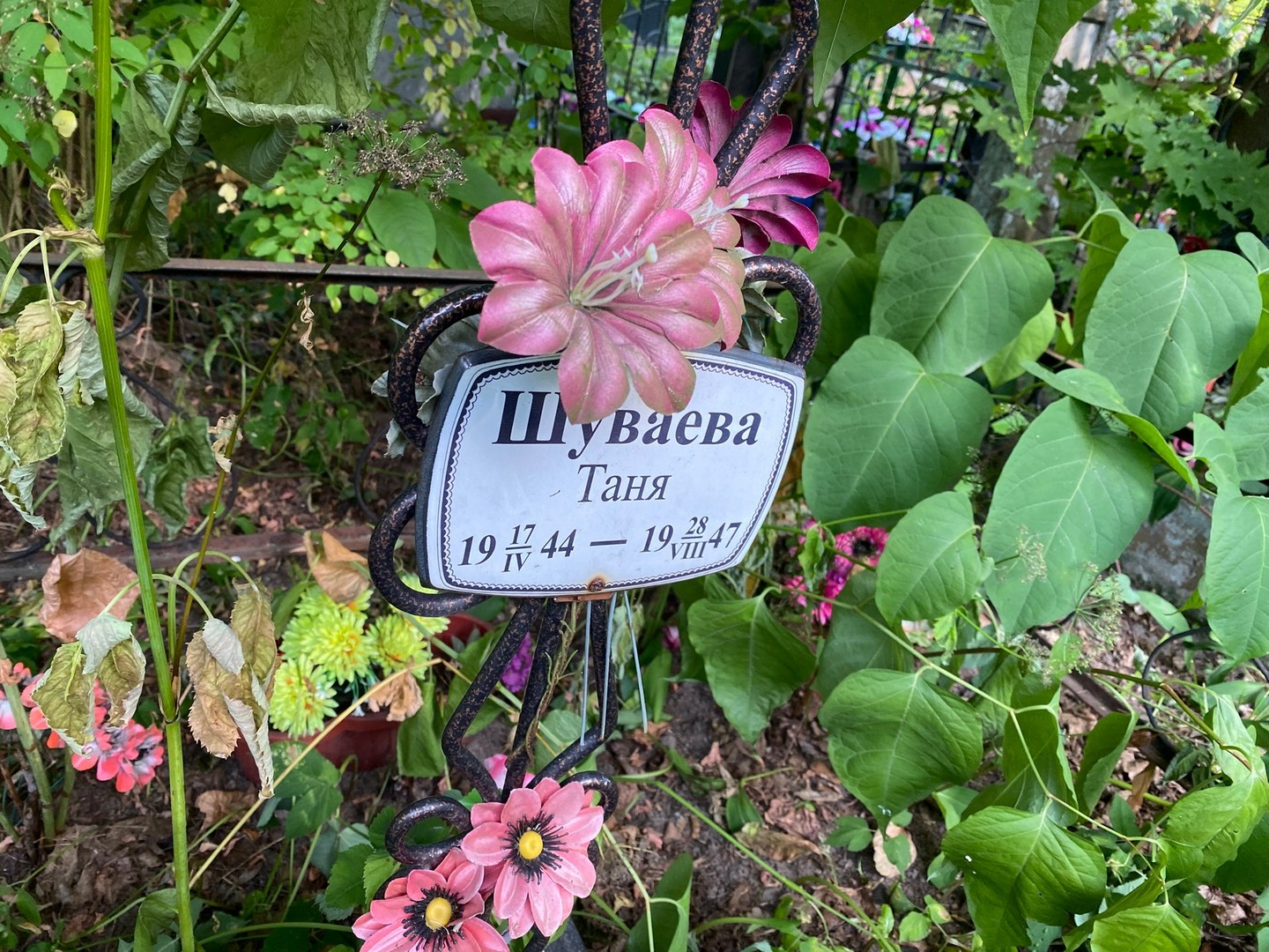 Шуваева Шуваева