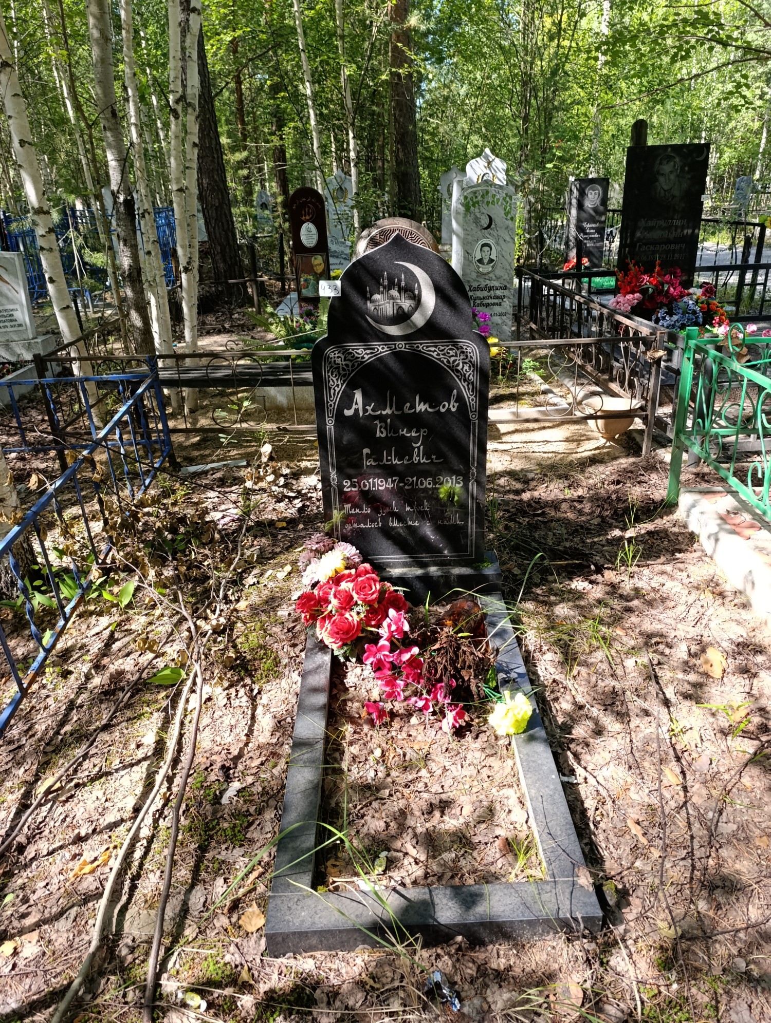 Ахметов Винер Галиевич