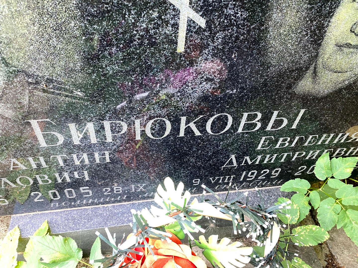 Бирюкова Евгения Дмитриевна