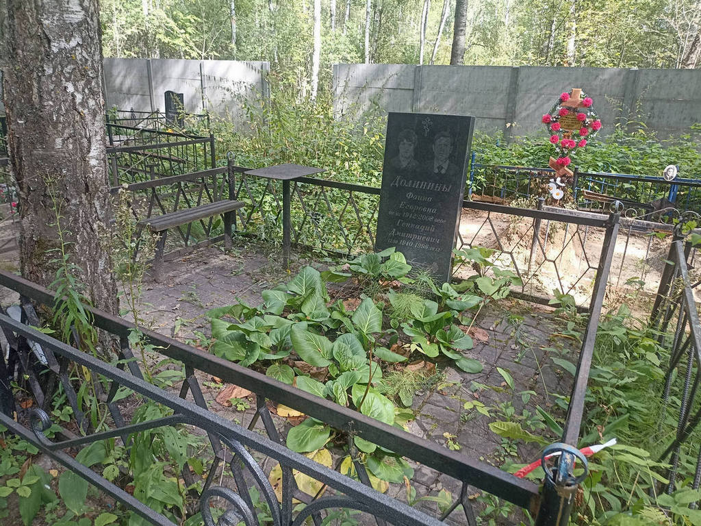 Долинин Геннадий Дмитриевич